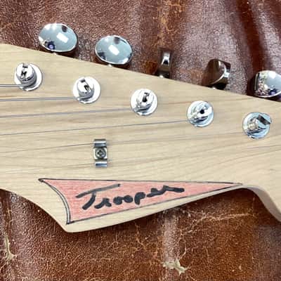 Partscaster Strat Allparts/Fender Strat w/EMG David Gilmours image 5