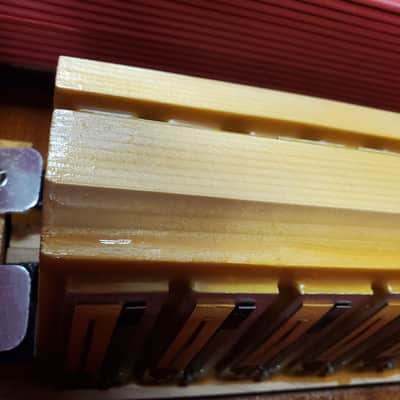Titano Tiger Accordion Blue WOW!! image 12