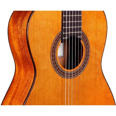 [Freebudmusic] Cordoba Cadete 3/4 Top-Solid Classical Acoustic Guitar image 5