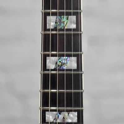 ESP LTD AS-1 Alex Skolnik 6 String Floyd Rose Electric Guitar Lime Burst image 5