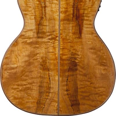 Washburn Comfort Deluxe 66 Auditorium Cutaway Acoustic Electric Guitar, Spalted Maple (WCG66SCE-O-U) image 2