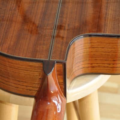 MARTINEZ MP14 OV Ovangkol / Classical Nylon Crossover / With Built-In Chorus & Reverb image 14