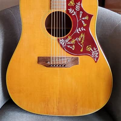 Gibson Hummingbird 1963 - 1968 - Natural image 7