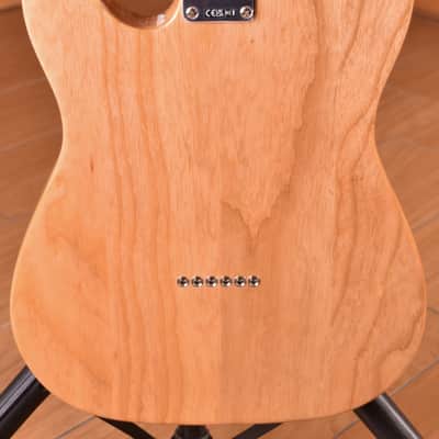 Fender Jimmy Page Telecaster Artist Series Dragon Natural image 17