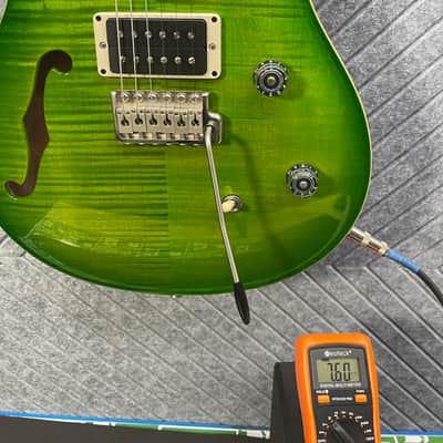 PRS CE24 SkunkWerx Collector Grade Eriza Verde Maple image 18