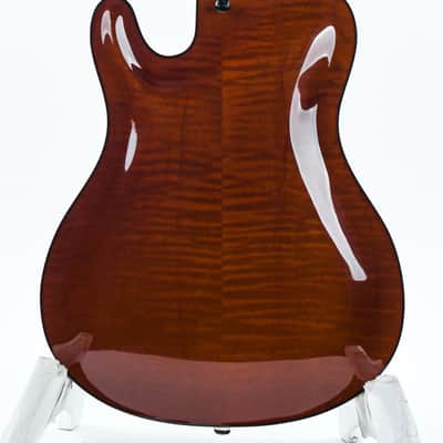 Tim Bram Tribute Archtop Caramel 2021 image 4