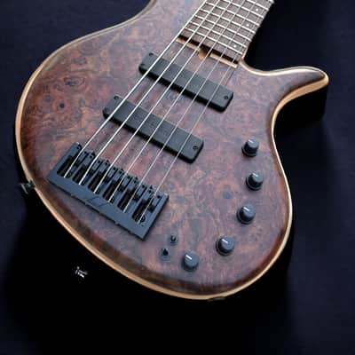 Elrick Basses Evolution Gold 6 - Burled Walnut 2024 - Satin image 3