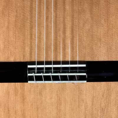 SAERS S9 lattice classical guitar Ziricote image 3