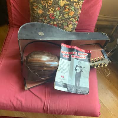 Mandolin Brothers Stridente 1905-1915 image 5