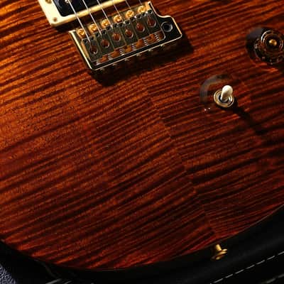 Paul Reed Smith (PRS) Experience 2010 Limited Custom 24 Black Gold Standard Neck [10 166067] (06/15) image 5