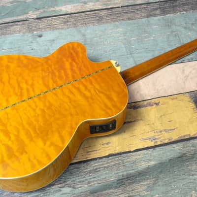 Michael Kelly Dragonfly 4FL Fretless Acoustic Bass image 6