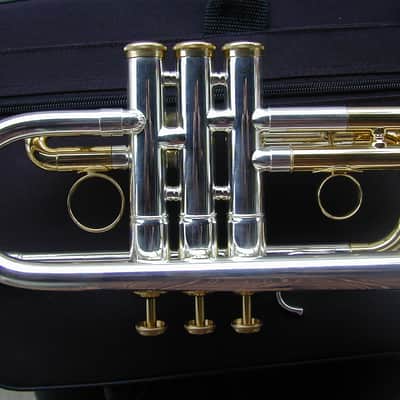 Berkeleywind C / Db Trumpet image 6