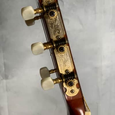 "Tamirez"...1969 Hiroshi Tamura P-30 Classical image 7