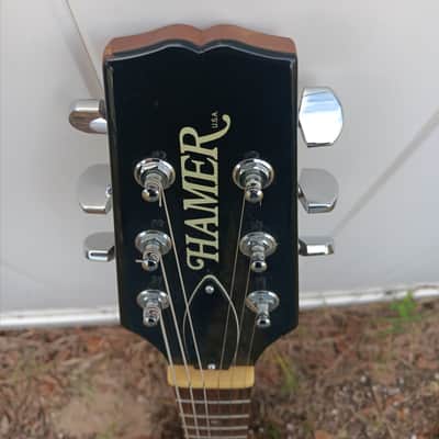 Hamer Special zebra humbucker lp dc electric guitar image 6