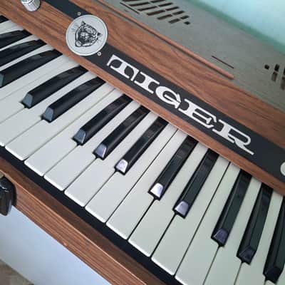 EKO Tiger 3000 Analog Organ Synth image 5