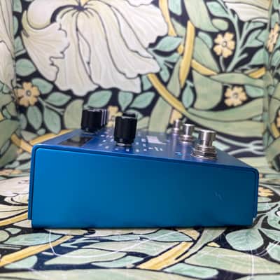 Strymon Mobius - Used image 6