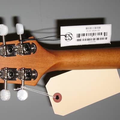 Eastman PCH-M104 CLA A Style Oval Hole Mandolin w/gig bag - Truetone Satin Goldburst image 7