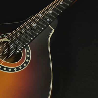 Eastman MD304E Electric A Style Oval Hole Electric K&K Mandolin with Bag image 10