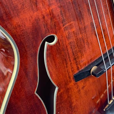 Eastman AR810CE – 2010 image 5