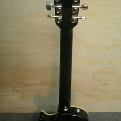 Gibson Adam Jones Signature Les Paul Standard 2022 - Present - Antique Silverburst image 10