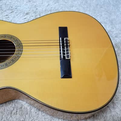 Aria Flamenco AC-150F (Spain) image 5