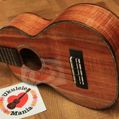 Kamaka HF 2D2I 100 Custom Slot head Concert Ukulele with Paua Shell Binding #3217 2016 Gloss Finish image 20