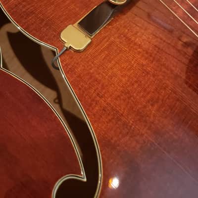 Eastman  AR805 2010 Violin Finish With K&K Definity image 6