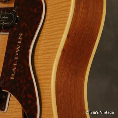 rare 1965-'66 BURNS/Baldwin GB 65 Natural/Blonde FLAME MAPLE TOP!!! image 9