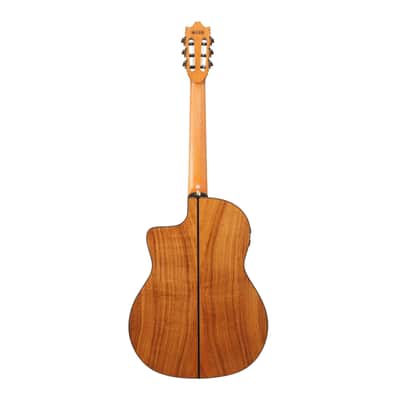 Ibanez GA3007CE Acoustic Electric Guitar with Hard Case (Natural High Gloss) image 2