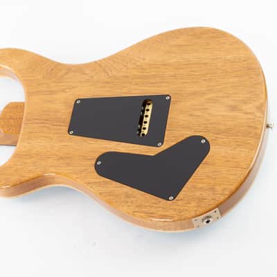 PRS Custom 24 2025 - Carroll Blue image 15