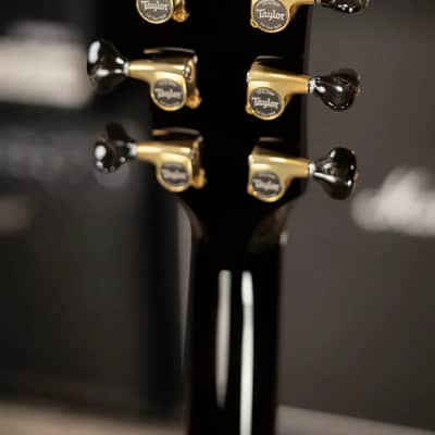 Taylor Custom Shop T5z Custom #C0960 Figured Ironbark/Shamel Ash Hollow Body Electric Guitar with Hardshell Case image 6