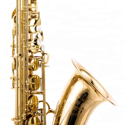 Yanagisawa TWO20 Professional Bb Tenor Saxophone in Lacquered Bronze SN 00399487 image 4