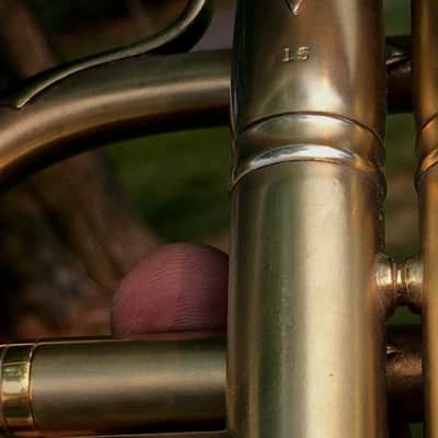 EXCELLENT SPECIAL ORDER LP CORNET F. BESSON BREVETE NEW CREATION 1923 GOLD PLATED LOVELY ENG. TO THE TOP / GREAT COMPRESSION image 18