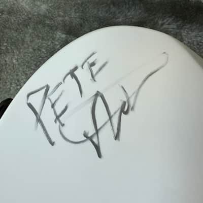 ESP LTD arctic metal, peter distefano, porno for pyros, the psychedelic furs, jane's addiction image 6