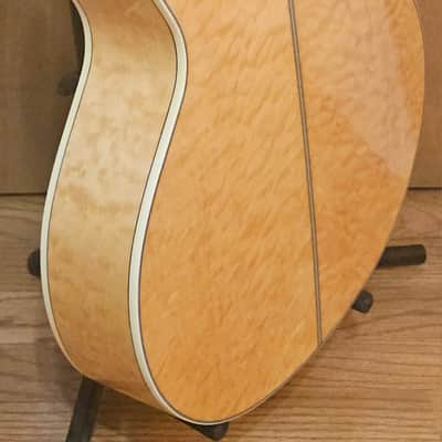 Washburn Festival Series EA20SDL with Chorus Cutaway image 9