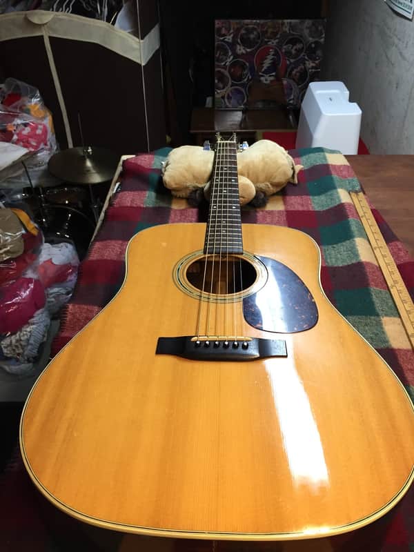 Washburn D-25 1979/1980 JAPAN w/HSC | Reverb