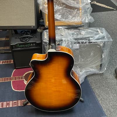 Luna Vista Bear Acoustic-Electric with Case 2010s - Natural image 3