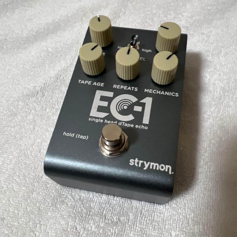 Strymon EC-1