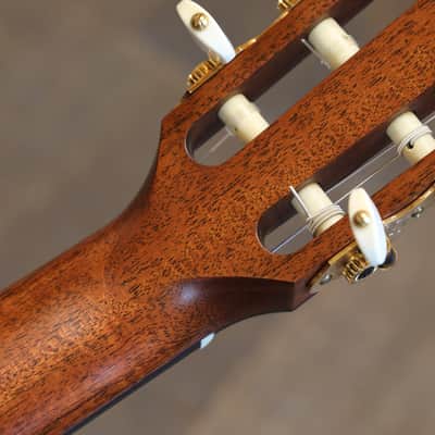 Unplayed! 2016 Taylor 712Ce-N 12 Fret Nylon Lutz Spruce Rosewood Acoustic Guitar Natural + OHSC image 18