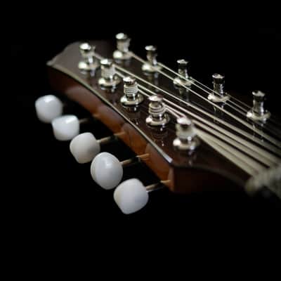 Junio Americo 10-String Mandolin | Brazil image 10