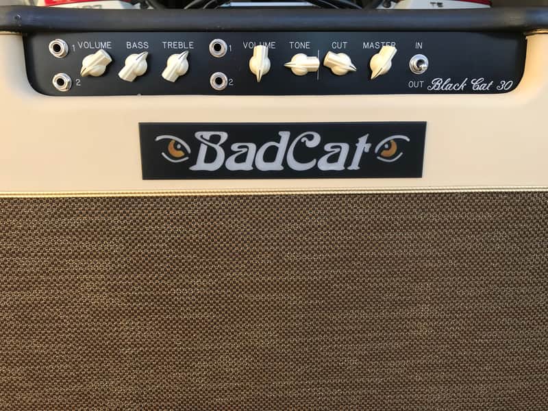 Bad Cat Black Cat 30R 30-Watt 2x12" Guitar Combo with Reverb image 1