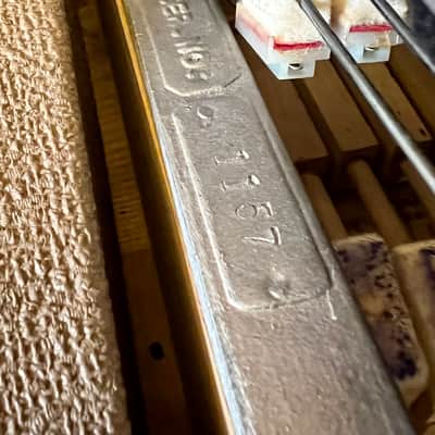 Fender Rhodes piano bass 1961 - Fiesta Red original vintage USA image 8