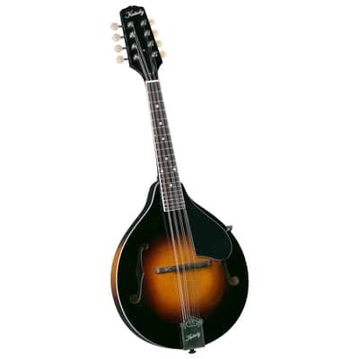 ibanez アイバニーズ マンドリン M510DVS 海外インポート ケース付 Ibanez M510 A-Style Mandolin, Dark Violin Sunburst High Gloss M510DVS