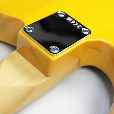 Fender Standard Telecaster 2025 - Present - Butterscotch Blonde image 11