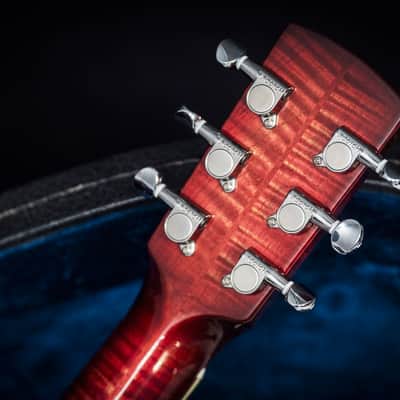 National Scheerhorn Figured Maple Roundneck 2019 image 15