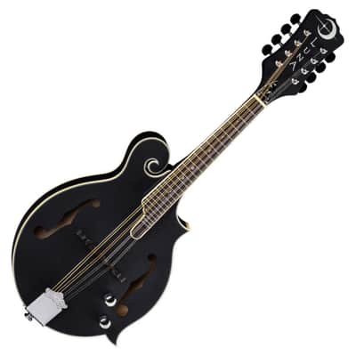 Luna BGM MOON F Moonbird F-Style Mandolin with Electronics
