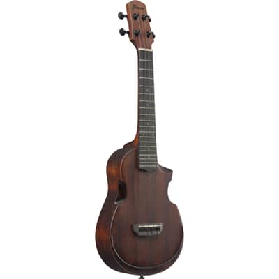 Ibanez AUC14-OVL Concert Ukulele - Concert Ukulele image 1