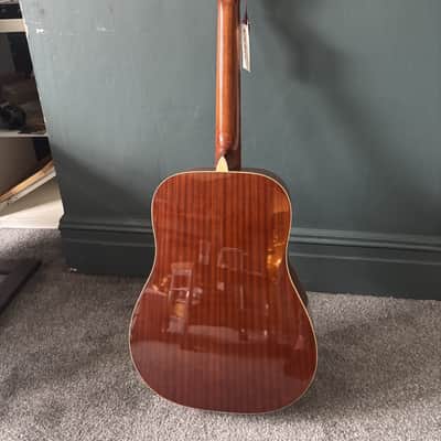 Aria 12 string Dreadnought AW 20 - T - N image 5