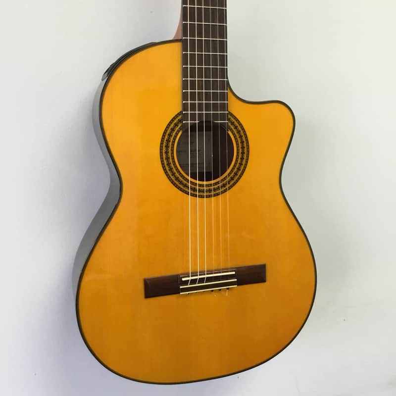 Takamine EG522c Classical Guitar With Electtronics and Hardshell Case image 1