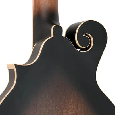 Gold Tone F-Style 6-String Acoustic Electric Mandolin-Guitar w/ Hard Case image 8